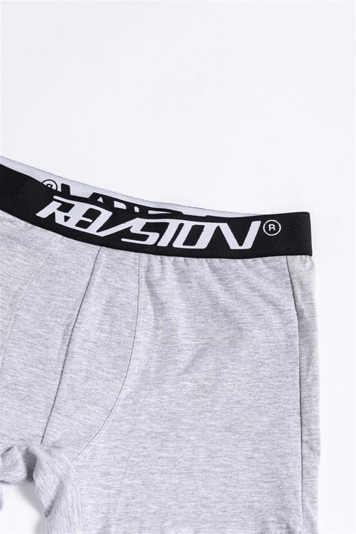 60 Boxer gris