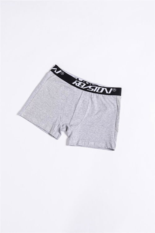 60 Boxer gris